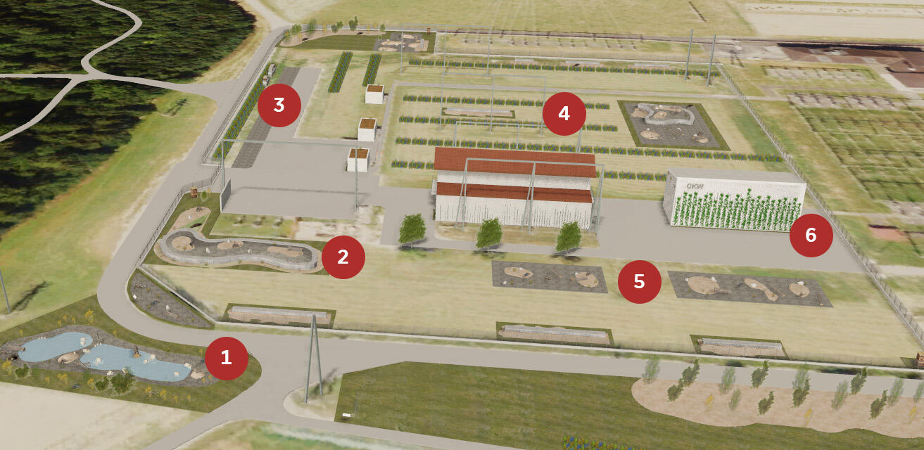 CKW Unterwerk Mettlen Biodiversit&auml;tsmassnahmen.jpg