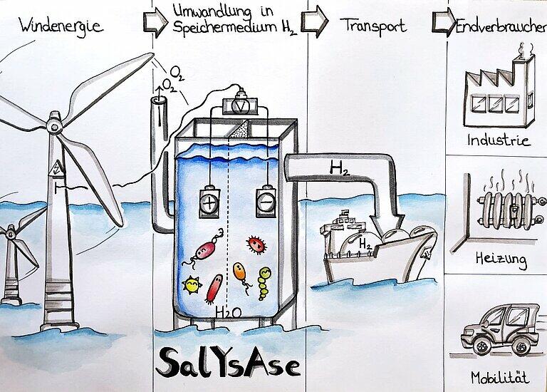 Skizze der Salzwasser-Elektrolyse.