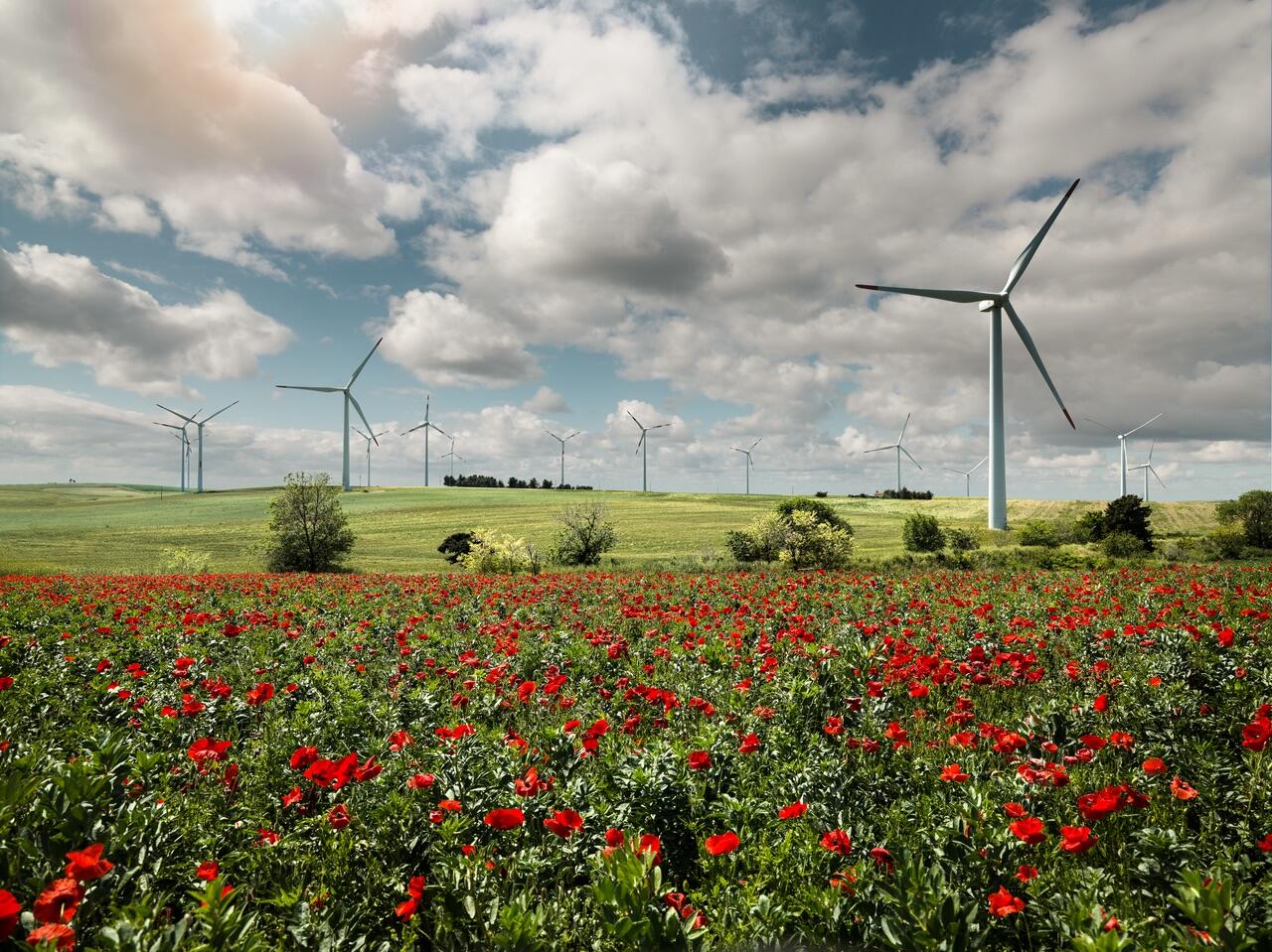 Windpark Eolo in Apulien.