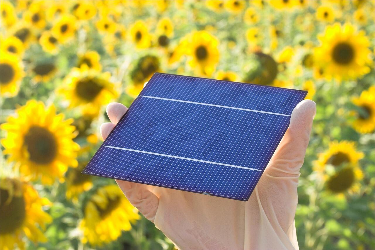 Solarzelle vor Sonnenblumenhintergrund.