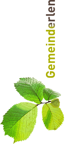 Politische Gemeinde Erlen Werkverwaltung Elektrizitätswerk 