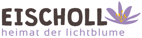 Elektrizitätswerk der Gemeinde Eischoll 