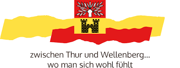 Elektrizitätsversorgung der Politischen Gemeinde Felben-Wellhausen 