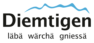 Energiegenossenschaft Diemtigtal 