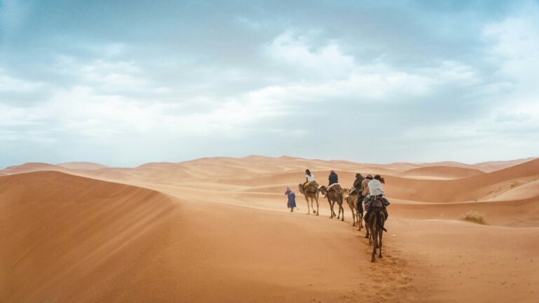 Menschen auf Kamelen in der Sahara