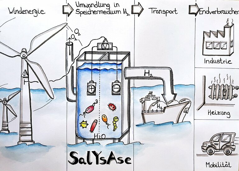 Skizze der Salzwasser-Elektrolyse.