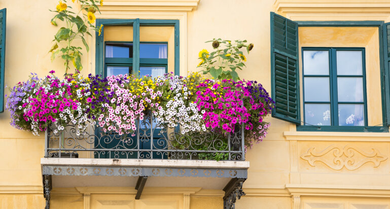 iStock Auch der kleinste Balkon taugt zum Blumen-Paradies.